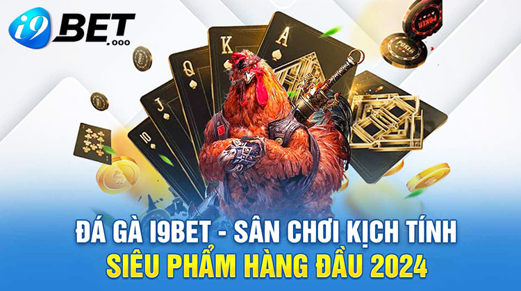 i9bet 8 Đá gà thomo Bồ CPC1 CPC2 CPC3 CPC4 tại i9bet com