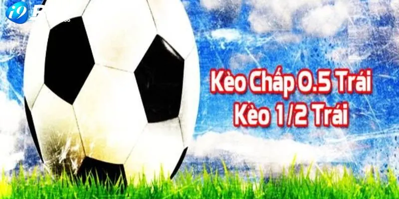 Kèo Chấp 0.5 - Tỷ Lệ Dự Đoán Siêu Hấp Dẫn Cho Mọi Người 3 Xu thế dự đoán của nhiều khách hàng